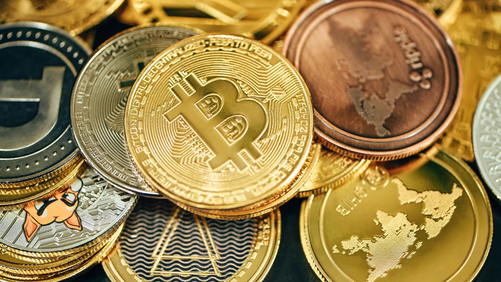 What first time crypto investors should know about building a portfolio