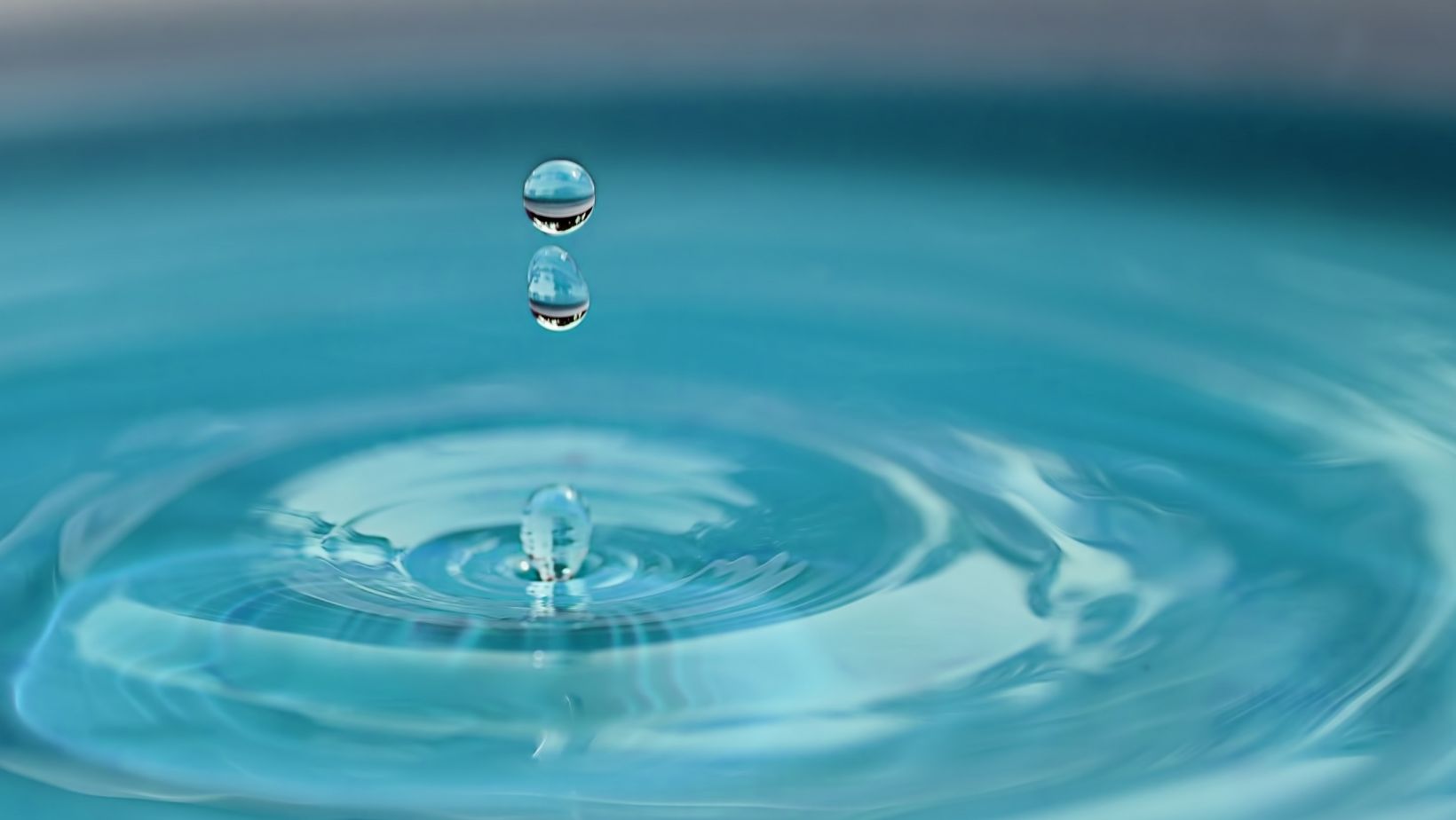 How to reduce your water usage