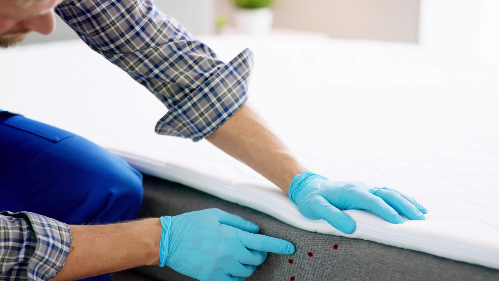 Highest signs you might need professional bug sweeping services