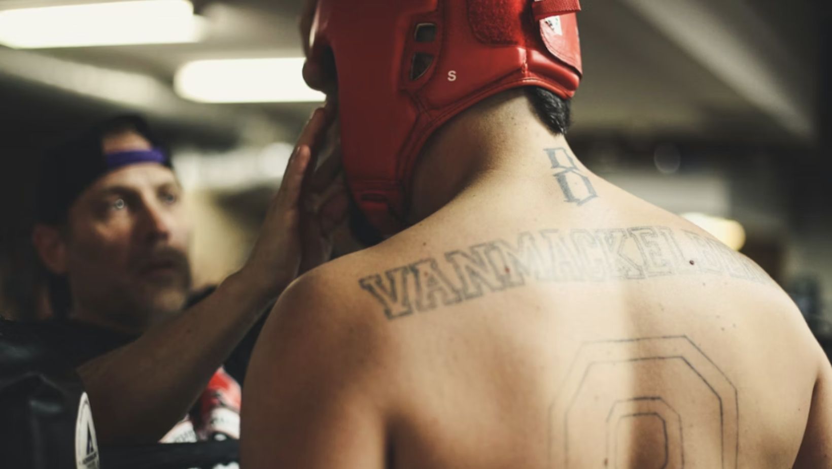 Why the ufc has become one of the most dynamic sports