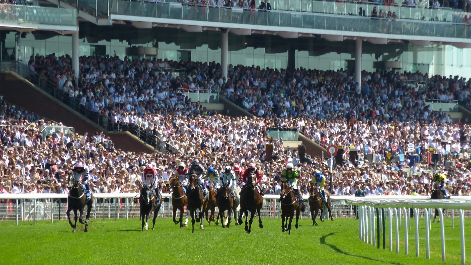 How did horse racing begin and what makes it so appealing to the public